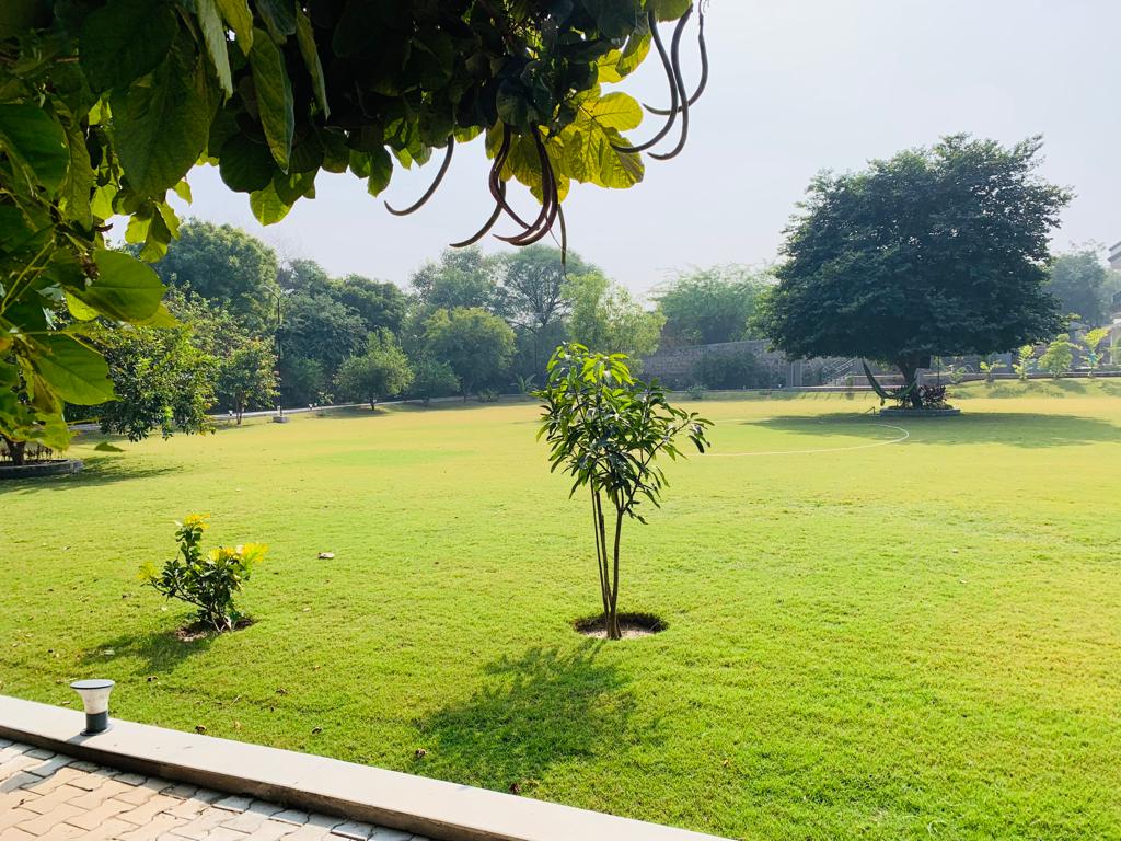 Image 3 of Premium 2.5 Acre Farmhouse in Chattarpur Delhi for sale 